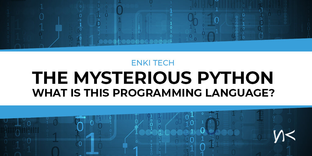 The Mysterious Python – What is this Programming Language?